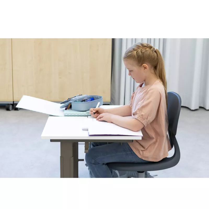 Schülerin, Schreibtisch, Stift, Haarzopf, Papier