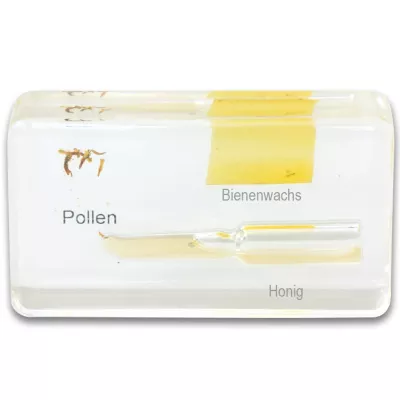 Pollen, Honig, Bienenwachs, Beutel, Proben
