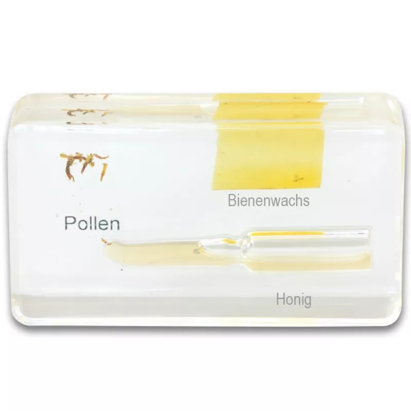 Pollen, Honig, Bienenwachs, Beutel, Proben