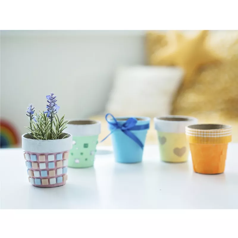 Topfpflanze, Kakteen?, Lavendel-Placeholder