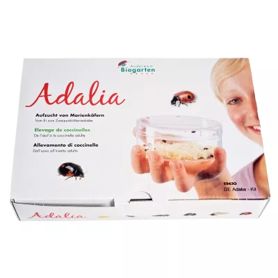 Marienkäfer-Zucht, Adalia Kit, Insektenzucht, Käferzucht, Biogarten Kit