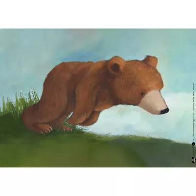 Bär, Tierbild, Feldgras, Wildtier, Bear