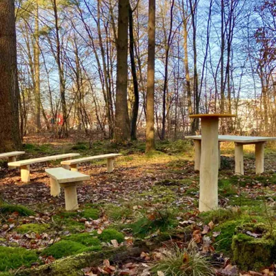 Park, Bank, Außenbereich Tisch, Steinbänke, Waldboden