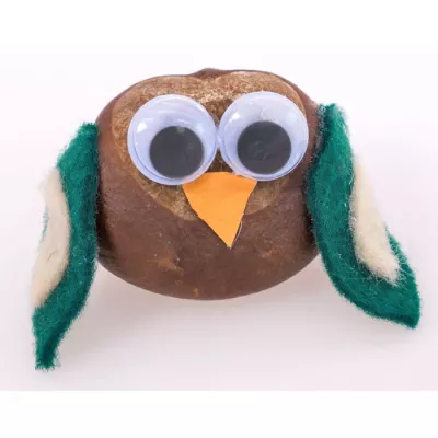 Kopfkuchen, Eule, Stofffigur, Augenbrille, Flügel