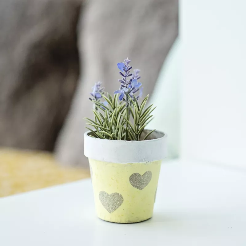 pflanze, Lavendel, Topfpflanze, kleiner Blumentopf, Herzmuster