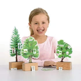 Baummodelle