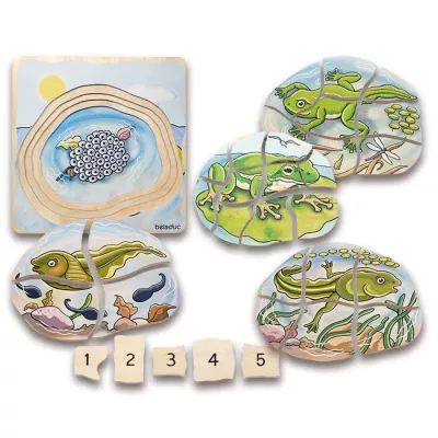Puzzle, Schildkröte, Frosch, Eidechse, Dinozaur, Holzpuzzle, Unterwasserwelt, Meerestiere, Tierwelt, Rätsel