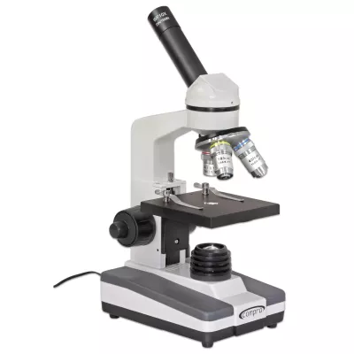 Mikroskop, Labor, Biologie, Objektiv, Schwarz-Weiß