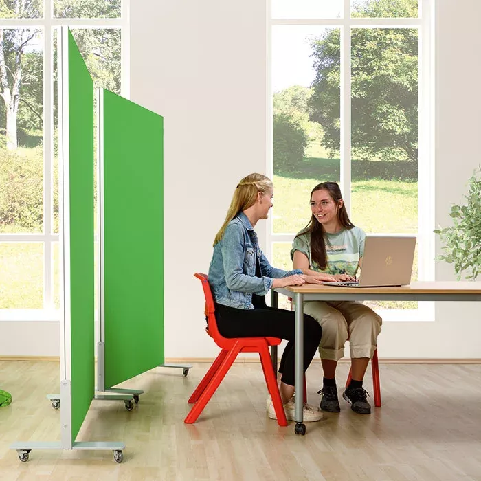 classroom, study area, laptop, students, partition