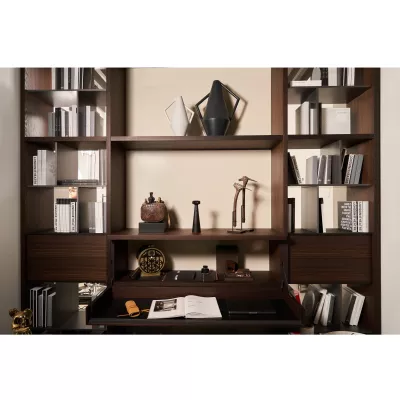 home office, bücherregal, dekorative gegenstände, schreibtisch, lampen sammlung