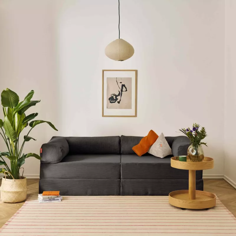 Sofa, Wohnzimmer, Kissen, Teppich, Pflanze