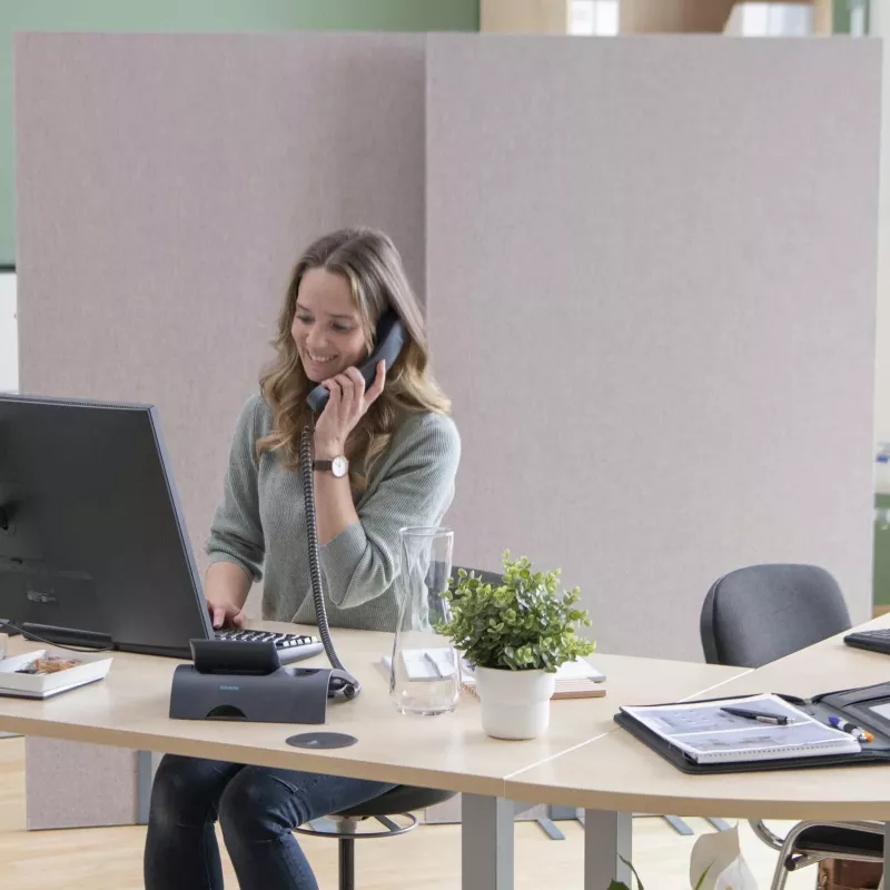 Schreibtisch, Büro-Setup, Telefonhörer, Laptop, Pflanze
