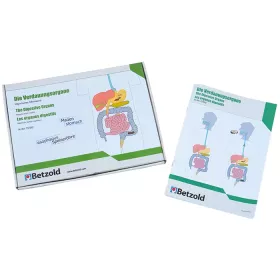 Verdauungsorgane