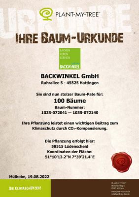 baum-urkunde, baum, pflanze, papier, urkunde