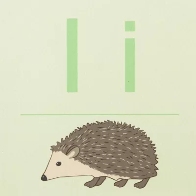 hedgehog, illustration, grün, linienkunst, tier