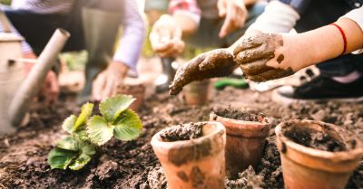 gartenarbeit, pflanzen, blume, topf, erde