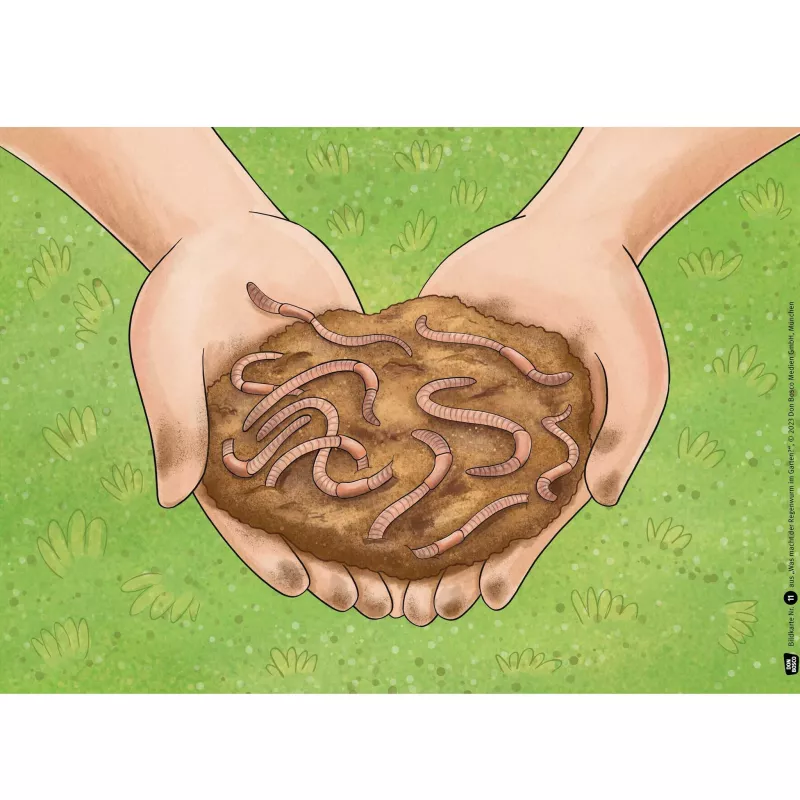 earthworm, worms, erde, hände, dreck