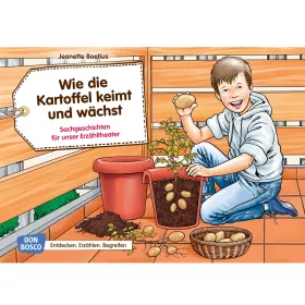 Kamishibai-Bildkarten, Wie die Kartoﬀel keimt und wächst