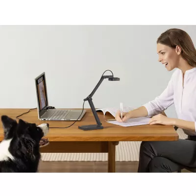 Schreibtisch, Lampe, Dokumente, Laptop, Hund