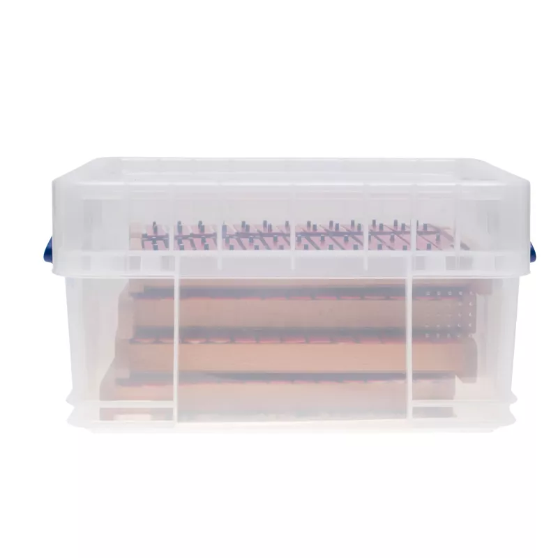 craft_tool, woodworking, tool_case, organizer, storage_box