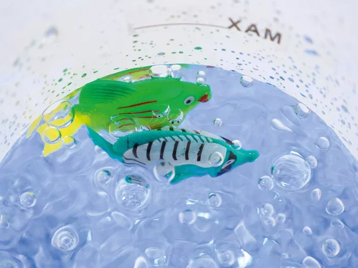 Fischspielzeug, Kunststoff, Bunte Fische, Schwimmendes Spielzeug, Wasserballerlebnis