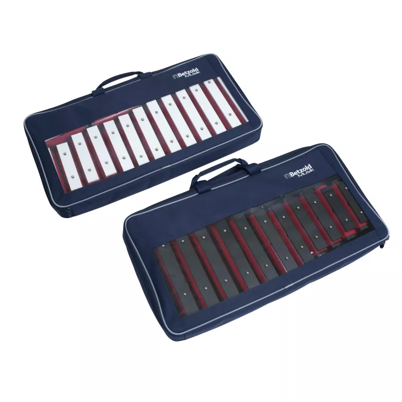 Mundharmonika, Diatonisch, Musikinstrument, Koffer, Blaue Hülle