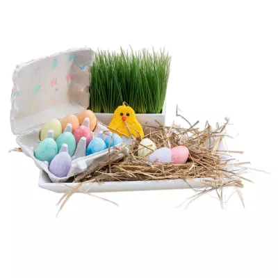 Ostereier, Eierkarton, bunte Eier, Gras, Küken