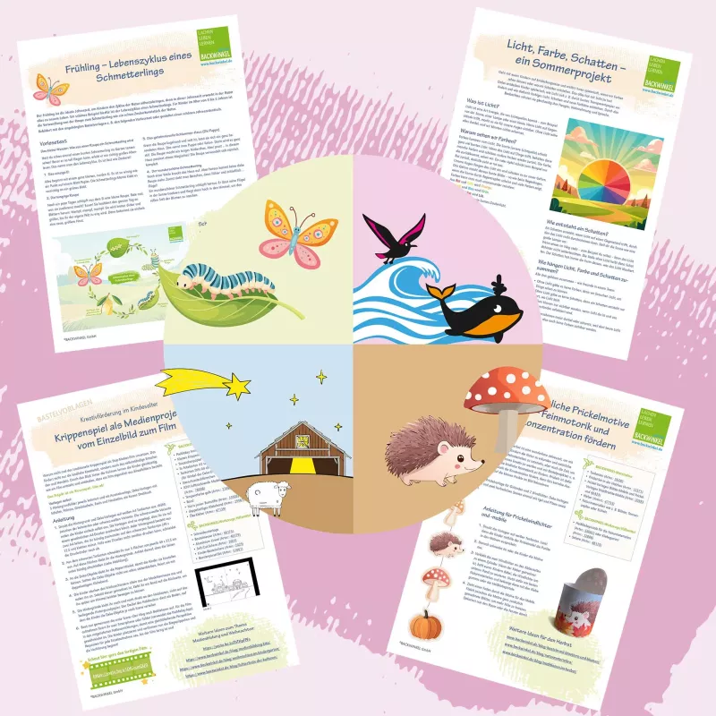 poster, educational, nature, circle diagram, kids activity