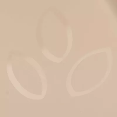 sonnenbrille, ovale rahmen, klare gläser, brillen-accessoire, mode-accessoire