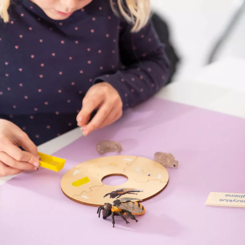 Holzpuzzle, Insektenpuzzle, Bienenmotiv, Kreispuzzle, Lernspielzeug