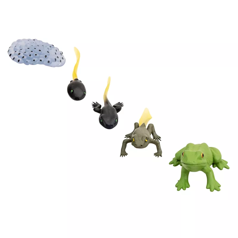 Frosch, Kursicht, Froschfigur, Drachenstein, Kaukus?