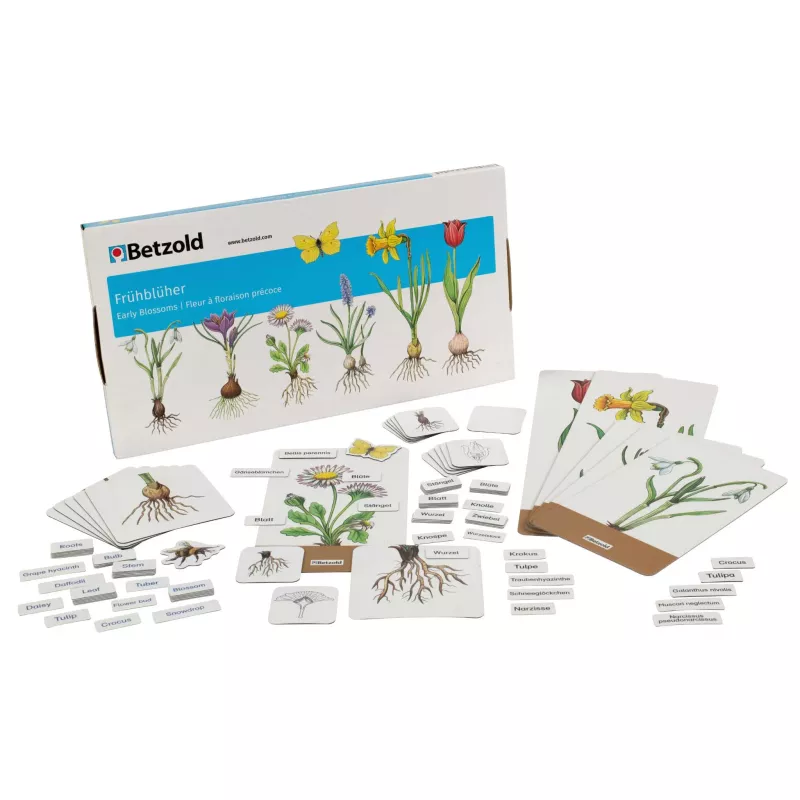 Frühblüher, Saatgut-Set, Pflanzenkartenset, Blütenpflanzen, Botanische Karten