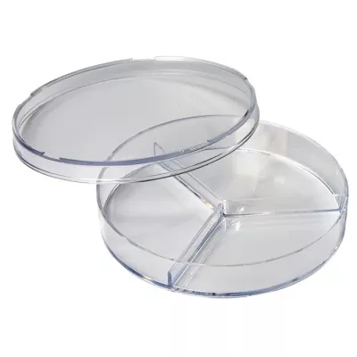 Teller, Schale, Aufbewahrungsbehälter, Divisor, Transparent