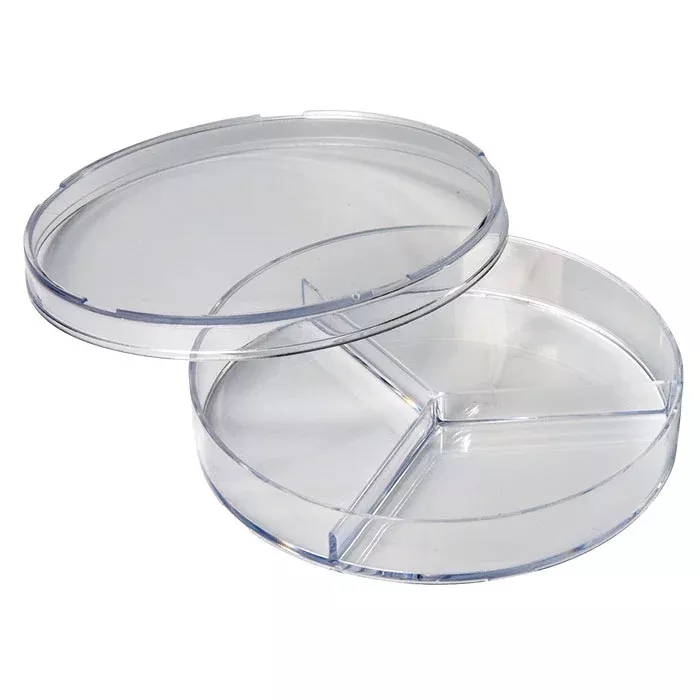 Teller, Schale, Aufbewahrungsbehälter, Divisor, Transparent