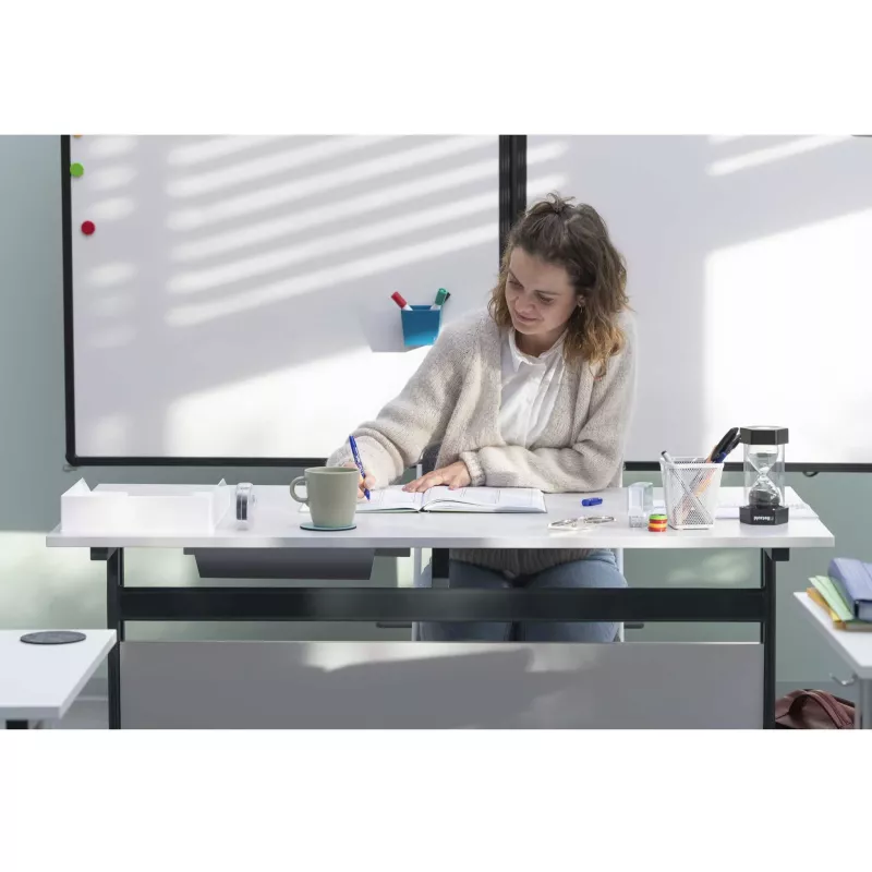 office, desk, frau, notizbuch, stift