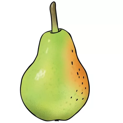 Birne, Obst, Frucht, Grün, Birnenform