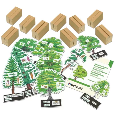 Holzbausteine, Baum-Set, Bildkarten, Lernspiel, Kleinteile