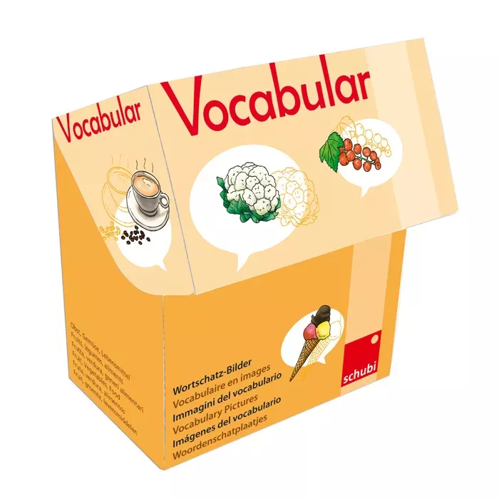 Wörterbuch, Vokabular, Bilderset, Kartenbox, Lernmaterialien