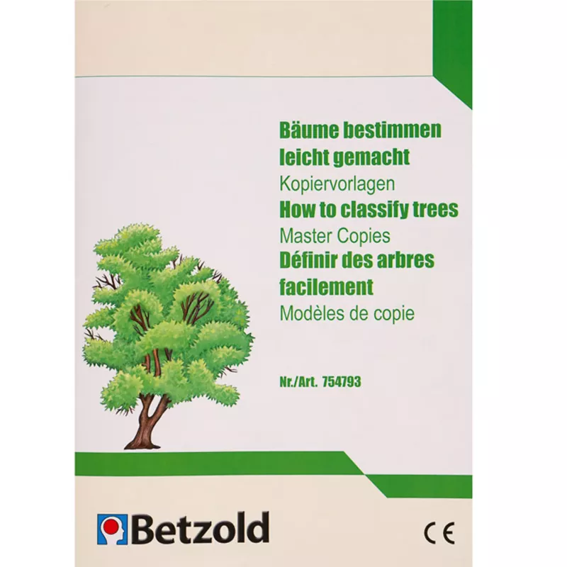 Baum, Illustration, Kopiervorlagen, How to classify trees, Betzold
