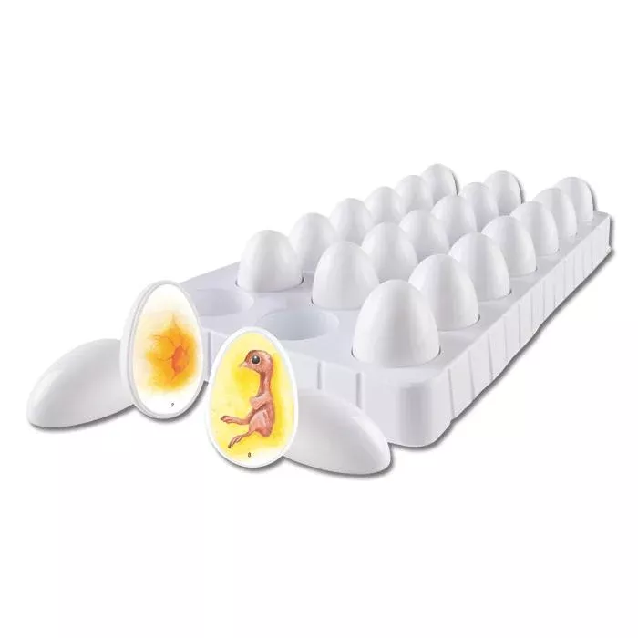 eierform, eierkarton, eierhalter, dummy-eier, brutkasten